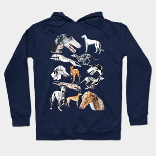 greyhound Hoodie